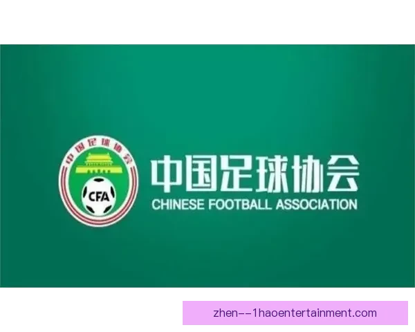女足欧冠奖金大幅提升为赛事发展注入新动力，助力女性足球崛起