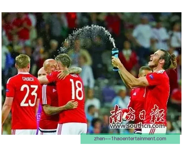 威尔士时隔64年重返世界杯 书写历史新篇章